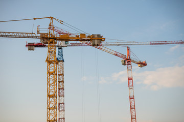 three cranes