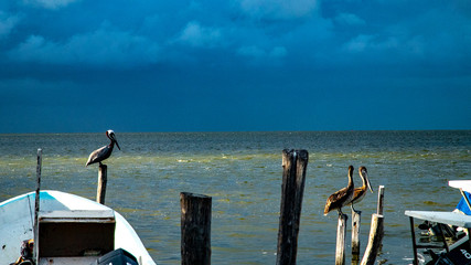  Beach Women or a white island. National Park near Cancun. Here you can rehearse each photographer....