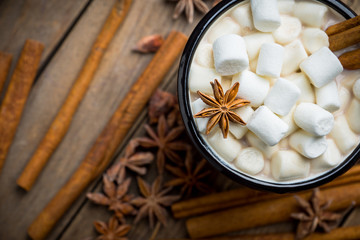 Sweet hot chocolate in mug. Christmas drink with marshmallow. Selective focus. Shallow depth of field. 