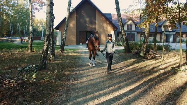 Young woman in helmet walking with horse on harness out of stable to start riding.