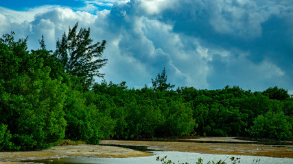  Beach Women or a white island. National Park near Cancun. Here you can rehearse each photographer....