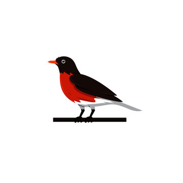 recommend clip art: Creative Bird Logo Designs