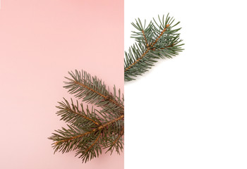 White and pink background with Chistmas tree branches