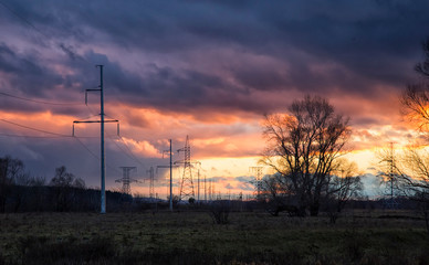 Autumn tree at sunset