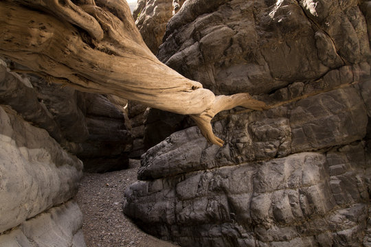ca&ntilde;on de la lima parras coahuila m&egrave;xico