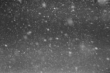 Falling real snowflakes, heavy snow
