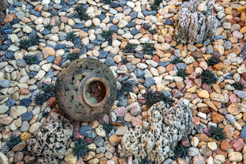 Vertical gardening in the park.
