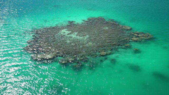 Aerial view of the coconut plantation Tupai Heart Island in the South Pacific 