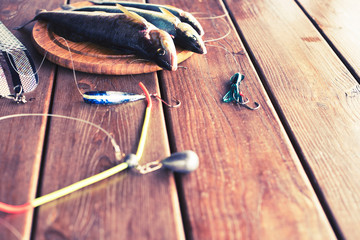 The catch of fresh sea fish lies on a cutting Board on a wooden table in the kitchen Selective...
