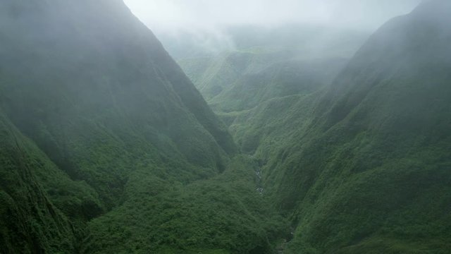 Aerial view of tropical rainforest valley foliage Maui