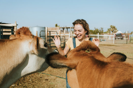 Cheerful young girl playing with rescued cows