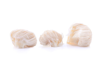 lion mane mushroom isolated on white background.