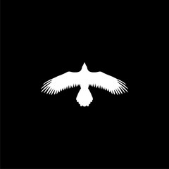 Silhouette of a flying crow isolated on white icon or logo on dark background