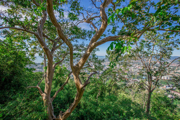 Natural background, panoramic view, panoramic nature (mountains, trees, sea, sky) is a beautiful sight to see in a group trip or a solo trip.