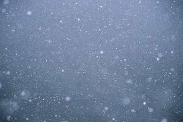 Falling down real snowflakes, blue toned image. Background of abstract particles. Texture of snow or rain.