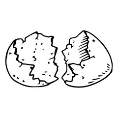 Shell of the eggs hand drawn. Vector illustration of egg shell. Broken egg icon.
