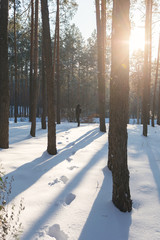 A man walks through the winter forest