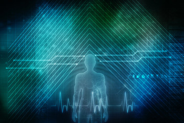 2d illustration Human Male Muscle Body