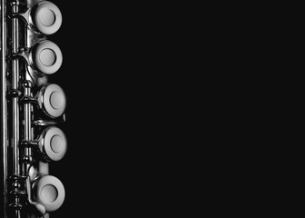 Keys of a musical instrument isolated © William