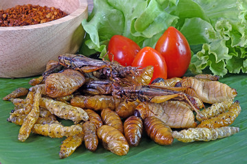Mixed crispy salted and spicy insects. Thailand street foods. Entomophagy : Edible insects, other natural sources of nutrients. Awesome exotic food / fusion food.