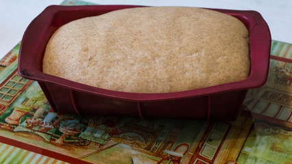 Wholegrain dough  from a mixture of wheat and rye  in bakery dish your healthy food