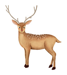 Naklejka na ściany i meble Hand-drawn cute fallow deer