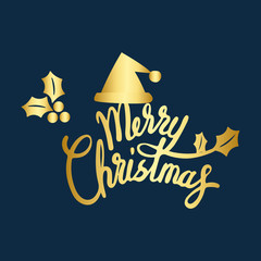 Merry Christmas greeting badge vector