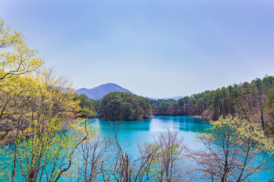 438 Best 毘沙門沼 Images Stock Photos Vectors Adobe Stock