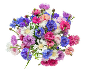 A beautiful bouquet of colorful cornflowers isolated on a white background.