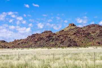 The arid landscape of the Karoo National Park in South Africa.