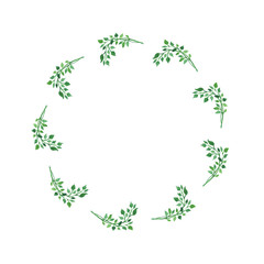 Watercolor wreath. Colorful botanical design element