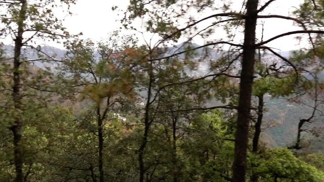 View from historic train window on the way from Shimla to Kalka, UNESCO World Heritage Site, Himachal Pradesh, India