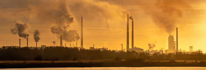 Fotobehang Smoking chemical plant chimneys,panorama.Air environment pollution concept. © Mike Mareen