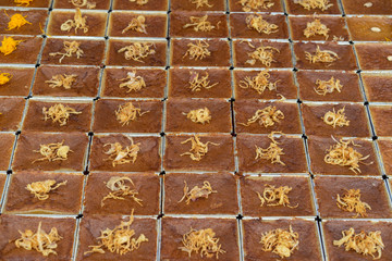 Mung Bean Thai Custard Dessert Recipe