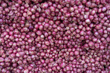 Red Shallots In the market