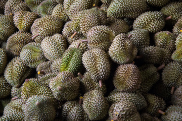 Group of durian in the market. Close up of peeled durian.