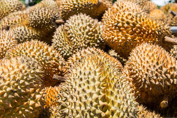 Naklejka na ściany i meble Group of durian in the market. Close up of peeled durian.