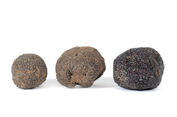 black truffles in studio