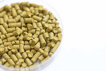 Materials for Beer fermentation, Beer raw materials and Production of Beer at the home. 