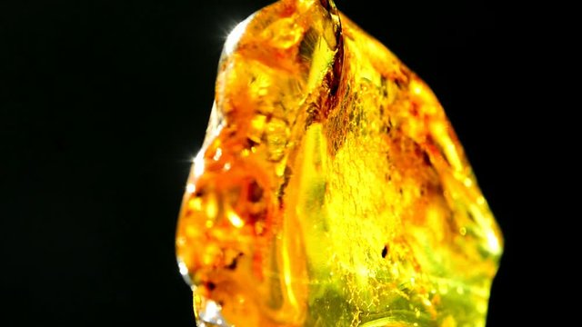 Amber in sun on a turn table