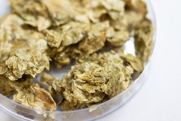 Materials for Beer fermentation, Beer raw materials and Production of Beer at the home. 