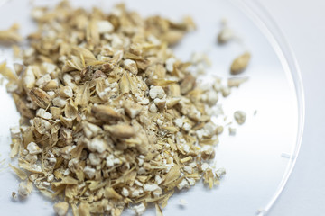 Materials for Beer fermentation, Beer raw materials and Production of Beer at the home. 