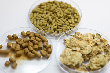 Materials for Beer fermentation, Beer raw materials and Production of Beer at the home. 