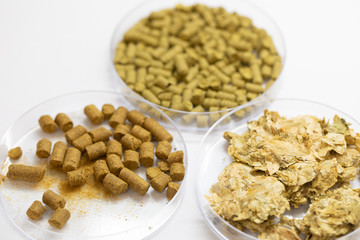 Materials for Beer fermentation, Beer raw materials and Production of Beer at the home. 
