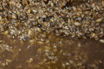 Materials for Beer fermentation, Beer raw materials and Production of Beer at the home. 