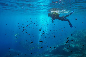 Scuba diver on water surface look at shoal of fish underwater, Mediterranean sea, Medes Islands, Costa Brava, Spain