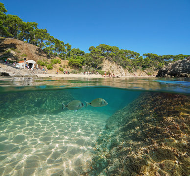 Spain Costa Brava Mediterranean beach with tourists in summer and fish with rock and sand underwater, split view half above and below water surface, Cala Estreta, Palamos