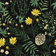 Botanisches nahtloses Muster mit schönen wild blühenden Blumen auf schwarzem Hintergrund. Hintergrund mit Wiesenwildblumen und Kräutern. Natürliche bunte handgezeichnete Vektorillustration im Vintage-Stil.