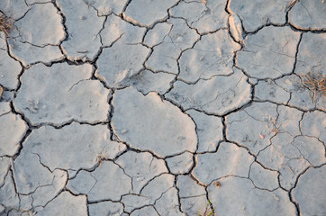 Close-up of cracked arid soil