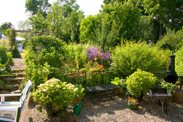Naklejka premium Luxuriant garden scene with lots of green plants